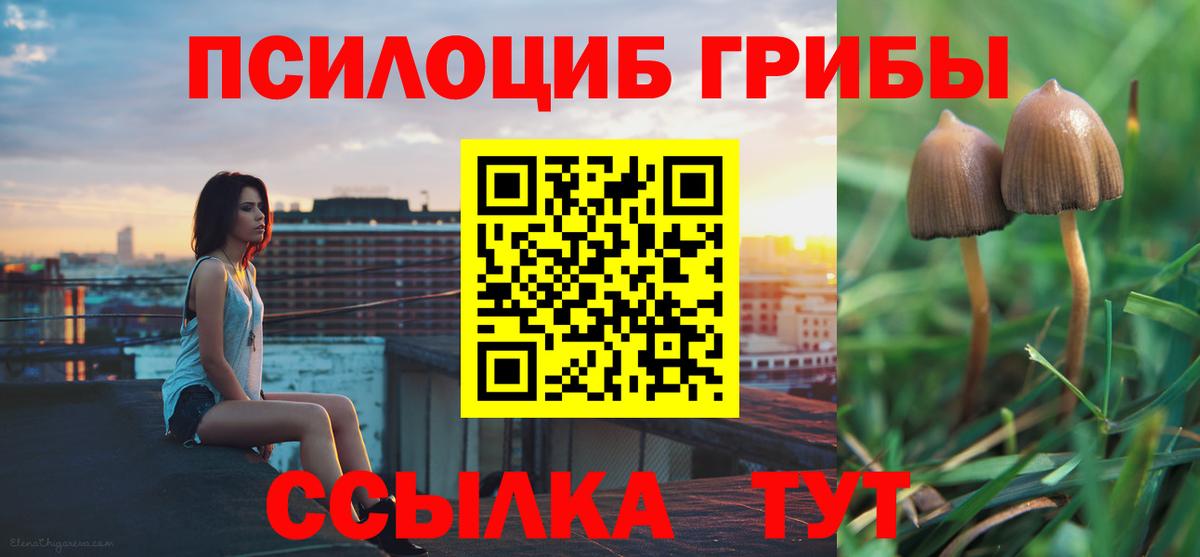 Галлюциногенные грибы GOLDEN TEACHER  Галлюциногенные грибы прущие грибы  Вход с VPN  Нижний Новгород 
